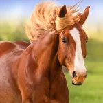 The Horse Icon